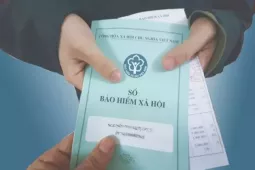 Những chính sách nổi bật có hiệu lực từ tháng 11/2025