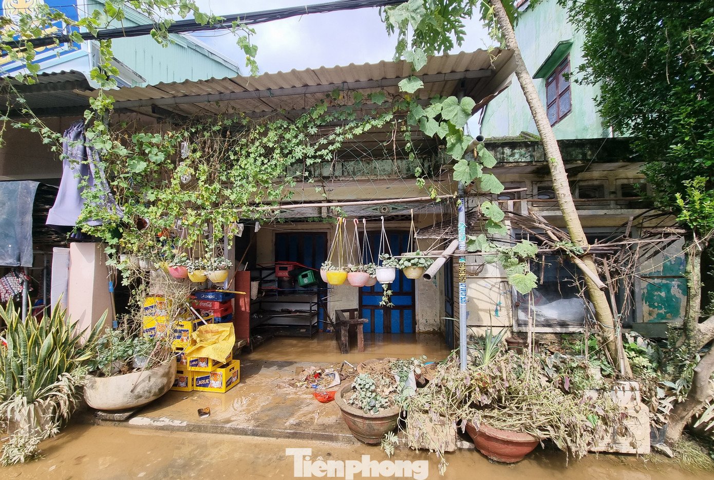 Cảnh tượng xót xa sau 3 đêm chạy lụt trở về: Nhà cửa nhuộm bùn, xơ xác - 9