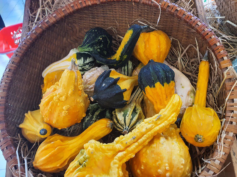 Bí ngô Thiên Nga có giá 189 nghìn đồng/kg.