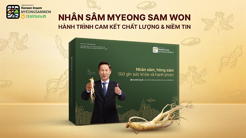 Nhân sâm tươi 6 năm tuổi Myeong Samwon, một trong những thương hiệu đạt tiêu chuẩn GAP