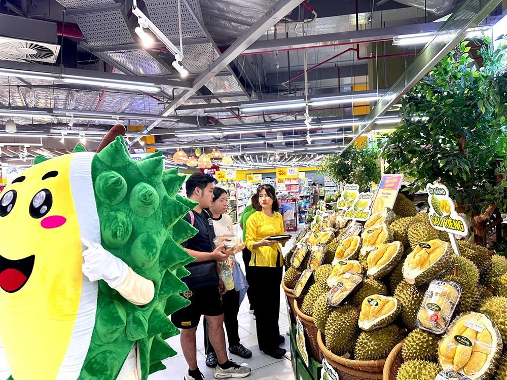 Khu vực hoa quả trái cây với đa dạng các loại từ nội địa chất lượng cao đến nhập khẩu chính ngạch trực tiếp tại vùng trồng uy tín, đem đến các sản phẩm tươi ngon đến tay người tiêu dùng