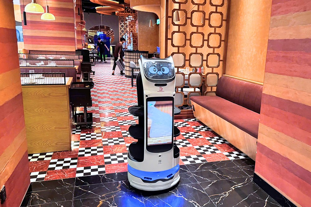 Roboworld cung cấp giải pháp robot tự động hóa đa dạng, phù hợp với nhu cầu của mọi doanh nghiệp