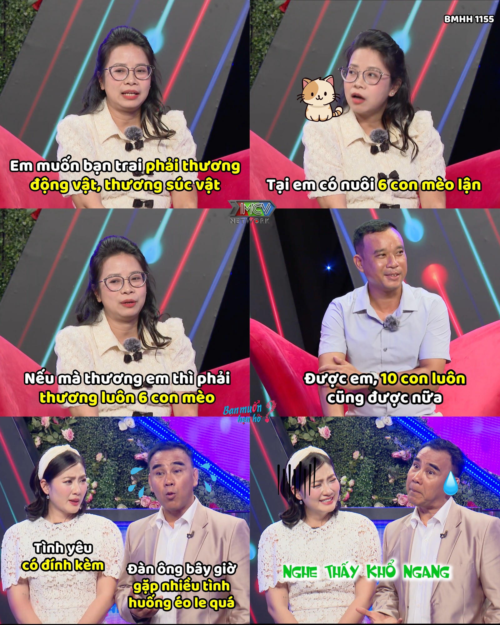 Nàng U40 tìm bạn trai “ở rể” và phải thương… 6 con mèo - 2