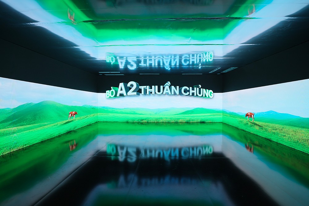 GippsNature Organic A2 được sử dụng nguồn sữa từ giống bò A2 thuần chủng, chăn thả tự nhiên tại “thủ phủ bò sữa” Gippsland (bang Victoria, Australia)