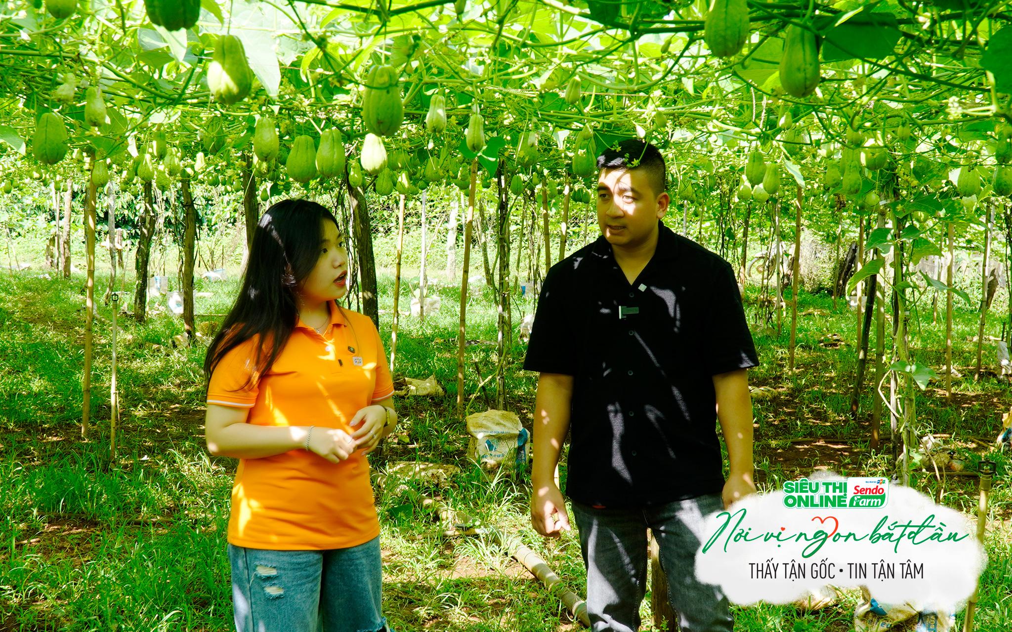 Chuỗi video “Nơi vị ngon bắt đầu” mang đến góc nhìn chân thật về người nông dân và nông sản Việt (Ảnh: Sendo Farm)
