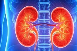 Tăng cường sức khỏe thận - 4 thực phẩm nên ăn và 5 loại nên tránh