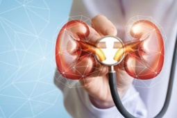 Bác sĩ Mỹ cảnh báo huyết áp cao hủy hoại thận