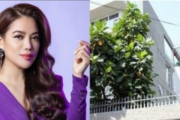 Cuộc sống xa hoa 'dát toàn hàng hiệu' của Trương Ngọc Ánh trước khi bị bắt