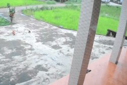 Tìm nguyên nhân gây ra vụ nổ kinh hoàng giữa ruộng lúa Quảng Trị