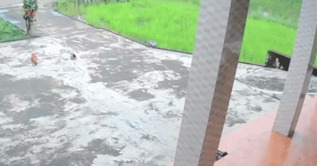 Tìm nguyên nhân gây ra vụ nổ kinh hoàng giữa ru...