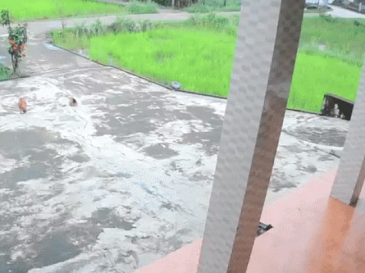 Tìm nguyên nhân gây ra vụ nổ kinh hoàng giữa ruộng lúa Quảng Trị