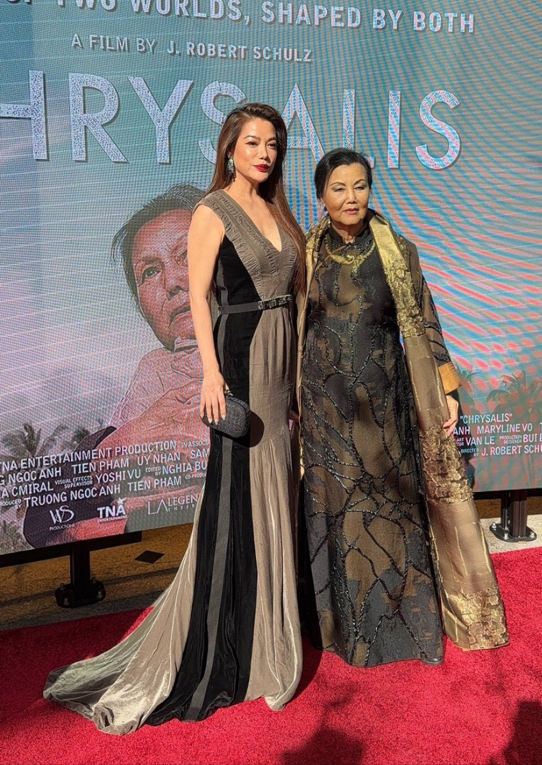 Khán giả thắc mắc số phận dự án mới nhất của Trương Ngọc Ánh do doanh nhân Việt kiều đầu tư.