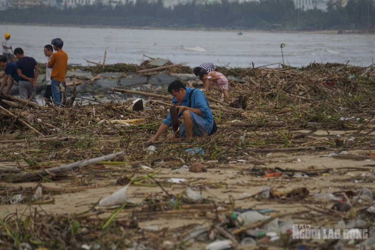 Người dân ra bờ biển bới rác tìm các cành cây khô