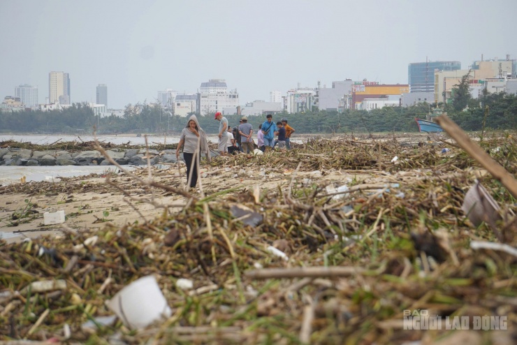 Bãi cát bị phủ kín bởi lượng lớn rác thải và cây cỏ trôi dạt.