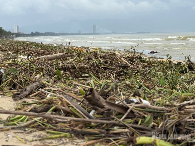 Nhiều đoạn bãi biển kéo dài hàng trăm mét gần như bị rác phủ kín, khiến cảnh quan trở nên nhếch nhác, ô nhiễm
