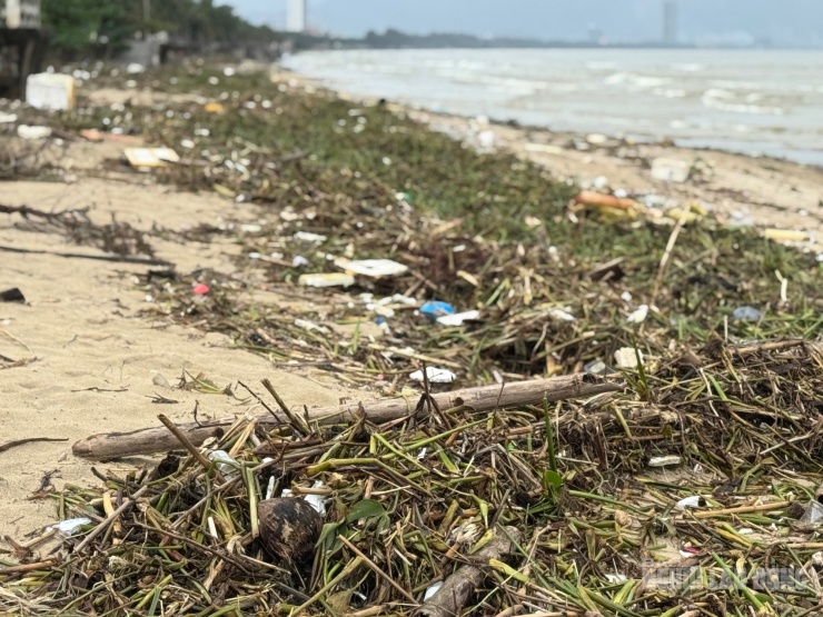 Rác thải thường xuyên tấp vào bờ biển Đà Nẵng sau mỗi đợt mưa lớn kéo dài