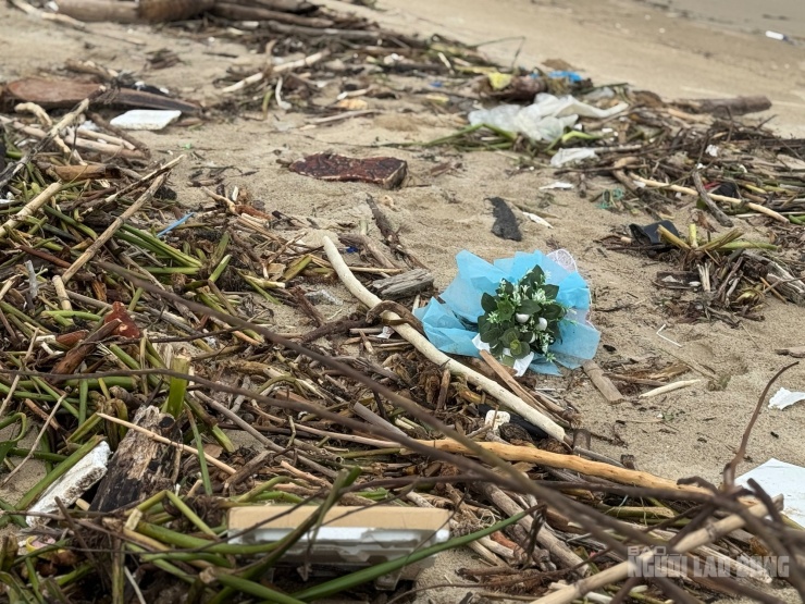Rác thải dạt vào chất đống bên bãi biển Đà Nẵng