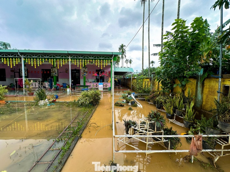 Trường học Đà Nẵng vẫn ngổn ngang bùn đất, lo lắng mưa lũ trở lại - 5