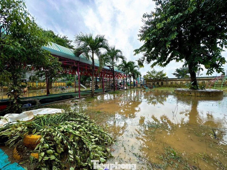 Trường học Đà Nẵng vẫn ngổn ngang bùn đất, lo lắng mưa lũ trở lại - 6