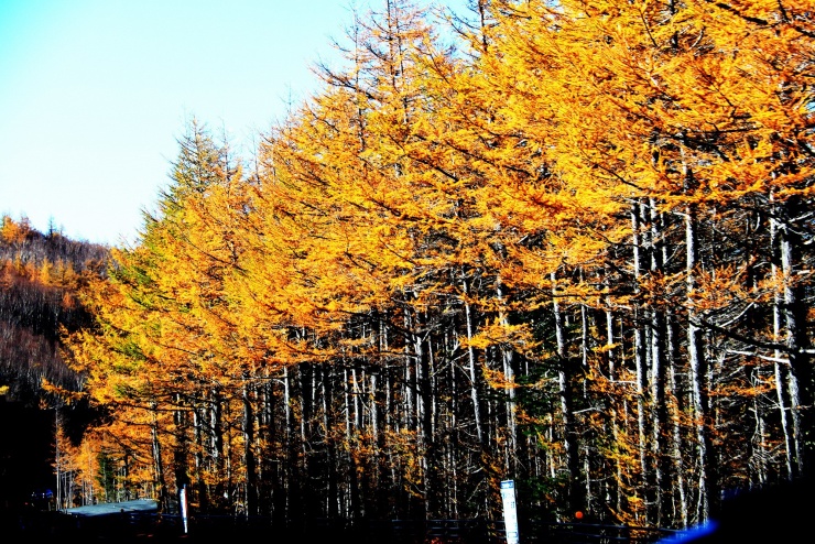 Đến Phú Sĩ, tìm lại sự cân bằng cho tâm hồn ở ngọn núi thiêng - 3