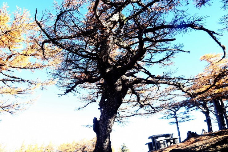 Đến Phú Sĩ, tìm lại sự cân bằng cho tâm hồn ở ngọn núi thiêng - 4