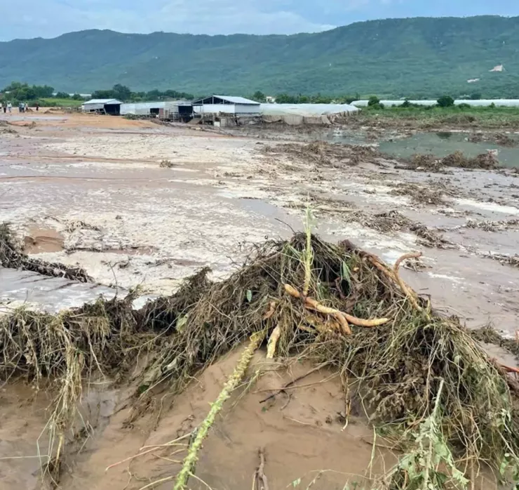 Nhiều tài sản của người dân bị thiệt hại.