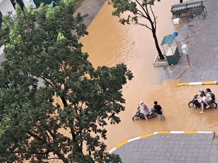 Khu vực chung cư Xuân Phú, phường Vỹ Dạ.