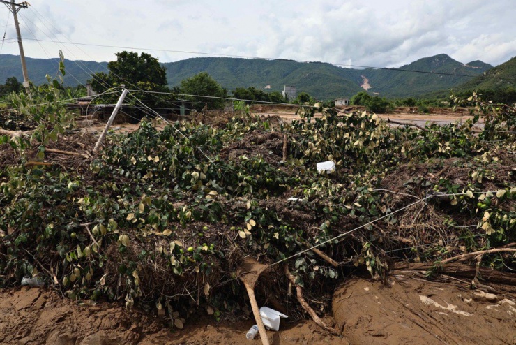 Lâm Đồng: Hình ảnh ngổn ngang sau trận lũ quét ở xã Tuy Phong - 8