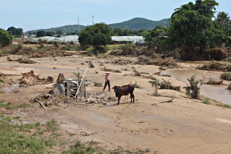 Lâm Đồng: Hình ảnh ngổn ngang sau trận lũ quét ở xã Tuy Phong - 6