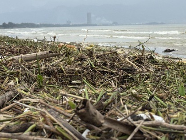 Bất ngờ hình ảnh bờ biển Đà Nẵng, rác phủ kín, nhiều người ra bới