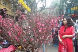 Lý do lịch nghỉ lễ Tết Nguyên đán, Quốc khánh 2/9 không cố định hàng năm