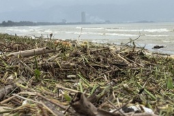 Bất ngờ hình ảnh bờ biển Đà Nẵng, rác phủ kín, nhiều người ra bới