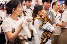 Nhịp sống trẻ - Hơn 100 chú mèo trên khắp thế giới quy tụ ở cuộc thi “Hoa hậu mèo” quốc tế Việt Nam