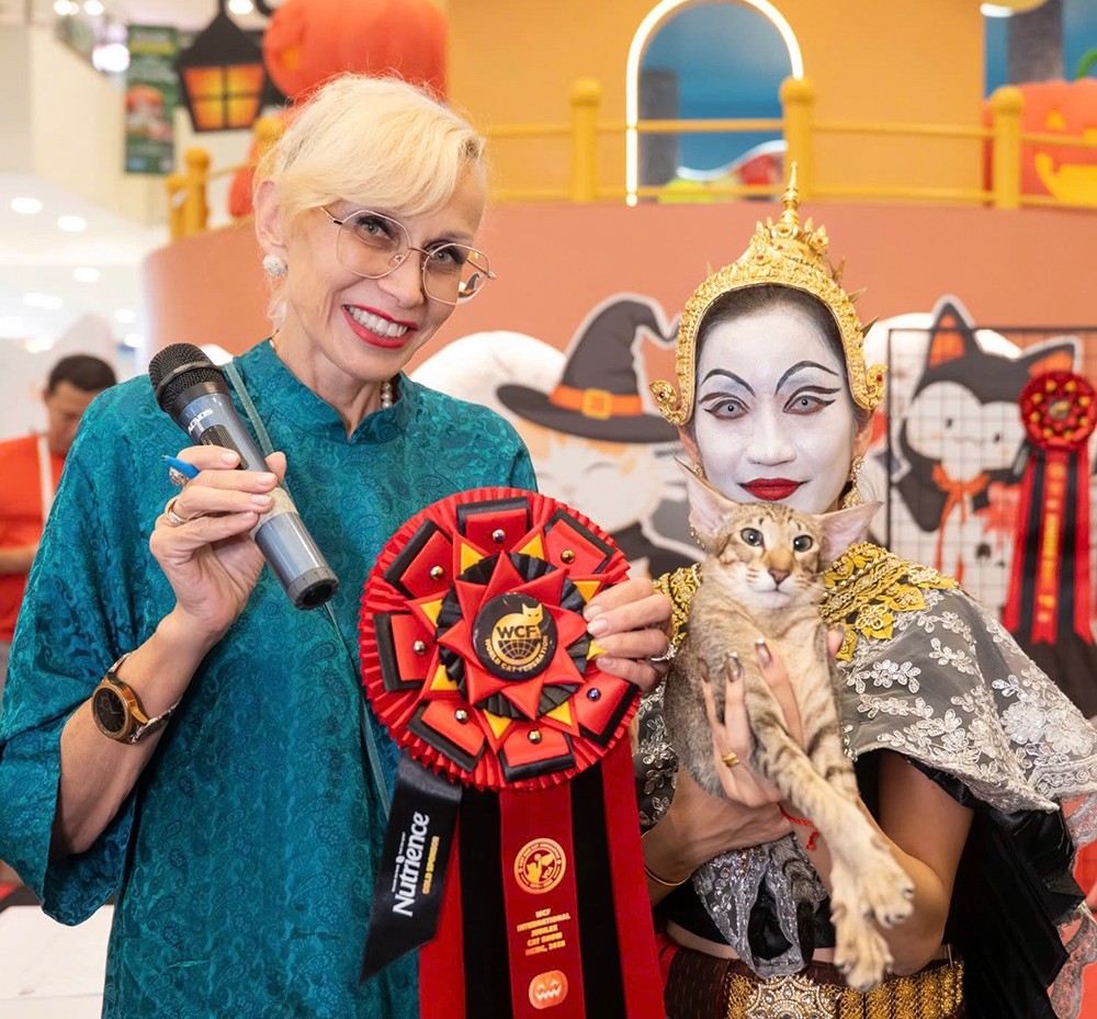 Paradise, "vợ tương lai" của Naomi thuộc giống Oriental Shorthair. Ảnh: HN