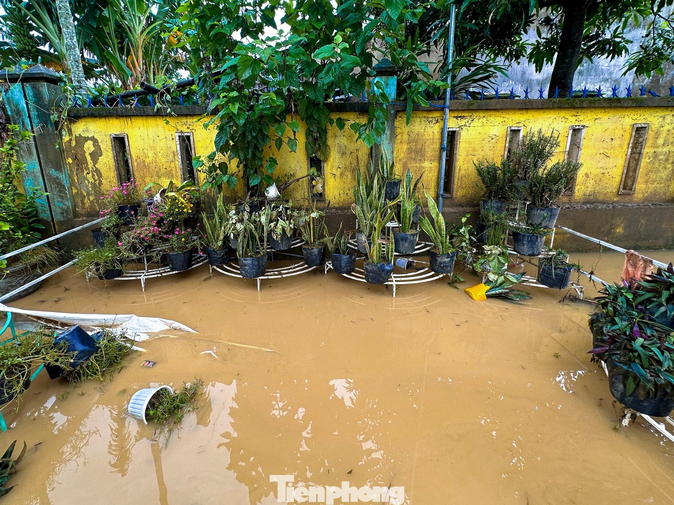 Quanh khuôn viên trường vẫn còn ngập nước.