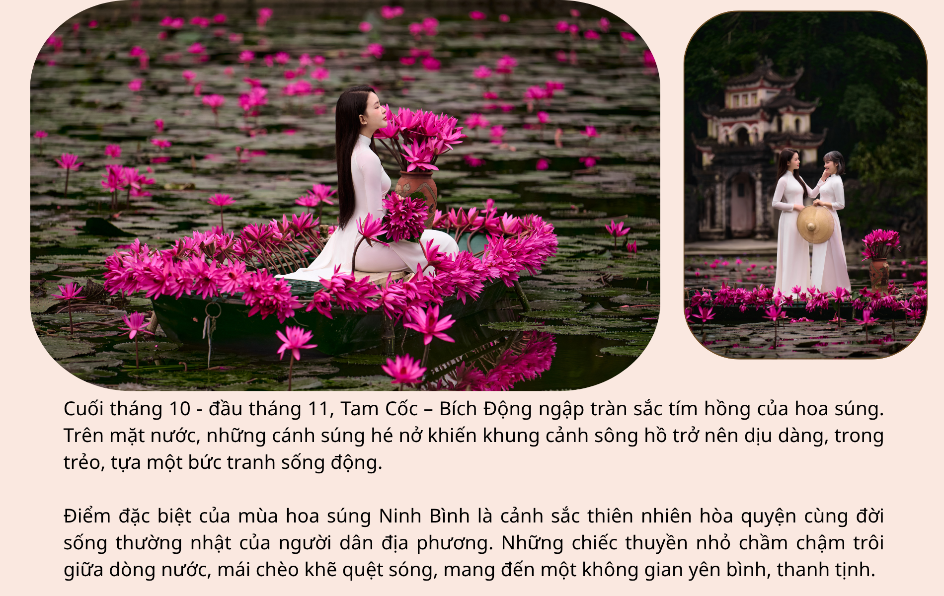 Say đắm mùa hoa súng đẹp như tranh giữa non nước Ninh Bình - 3