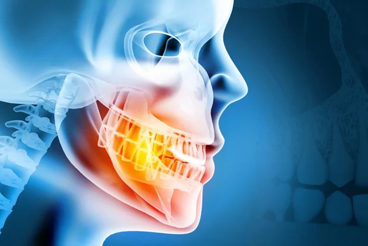 Những người mất răng có thể mọc răng trở lại dựa trên nghiên cứu mới.