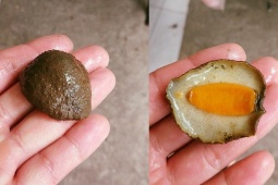 Con vật nhìn thì sợ, tên thì dữ, ai ngờ ăn là mê, là đặc sản giá gần 200.000 đồng/kg