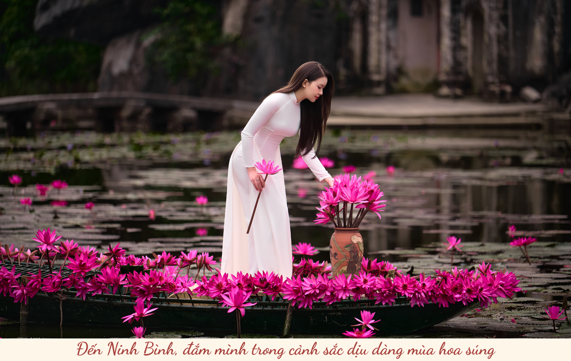 Say đắm mùa hoa súng đẹp như tranh giữa non nước Ninh Bình - 1