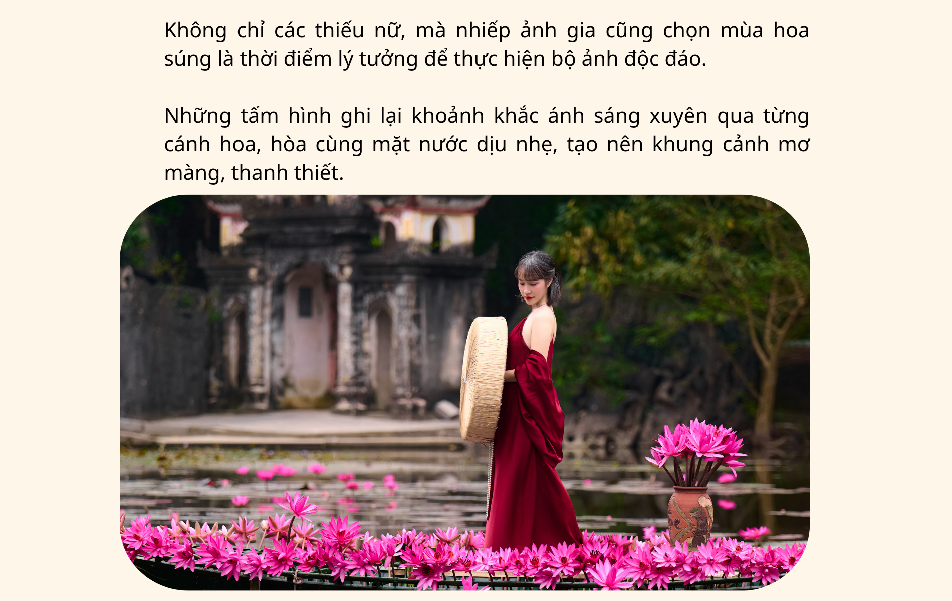 Say đắm mùa hoa súng đẹp như tranh giữa non nước Ninh Bình - 13