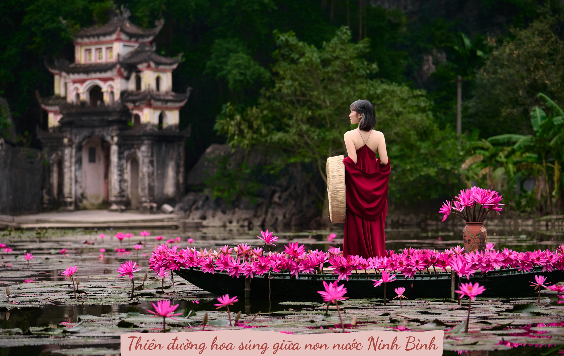 Say đắm mùa hoa súng đẹp như tranh giữa non nước Ninh Bình - 11