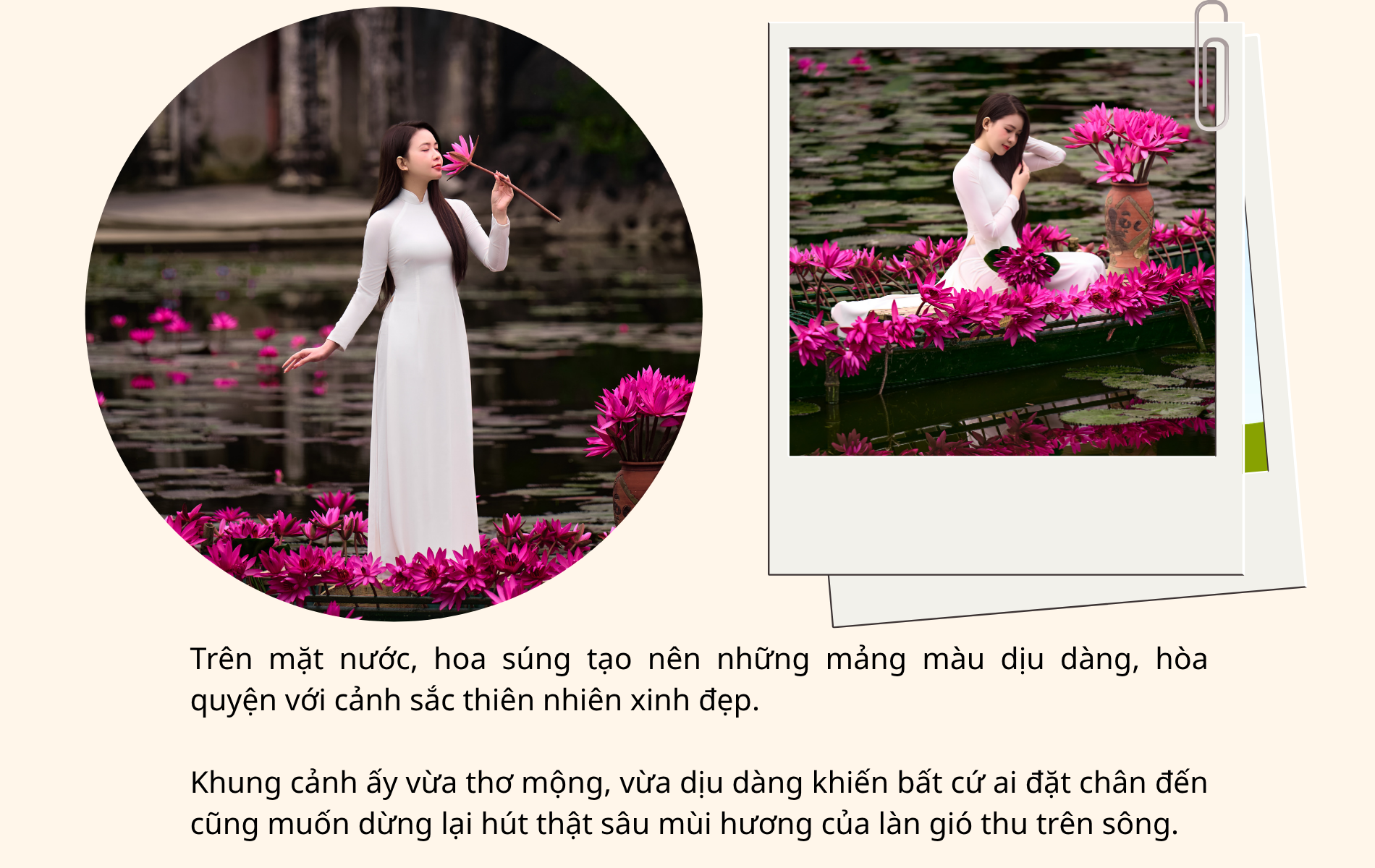 Say đắm mùa hoa súng đẹp như tranh giữa non nước Ninh Bình - 5