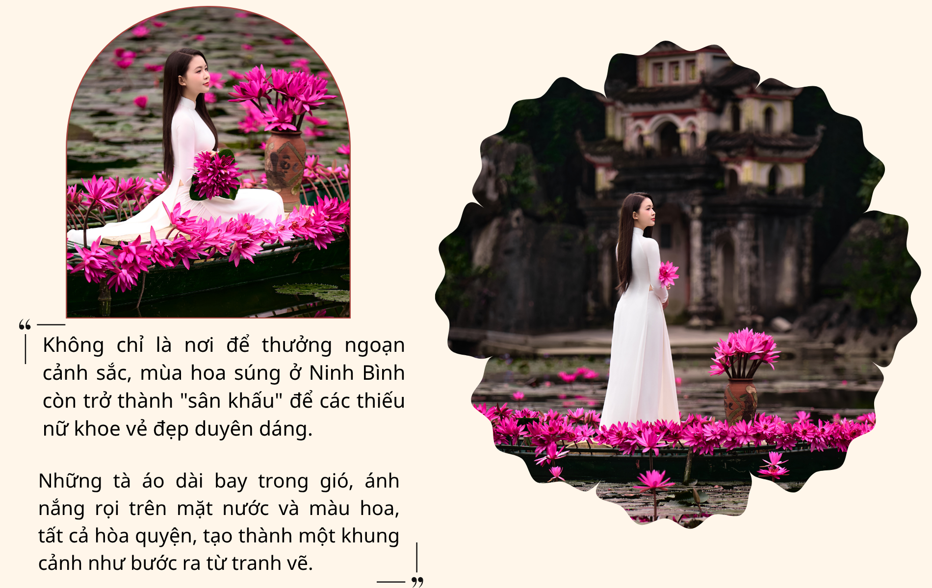 Say đắm mùa hoa súng đẹp như tranh giữa non nước Ninh Bình - 7