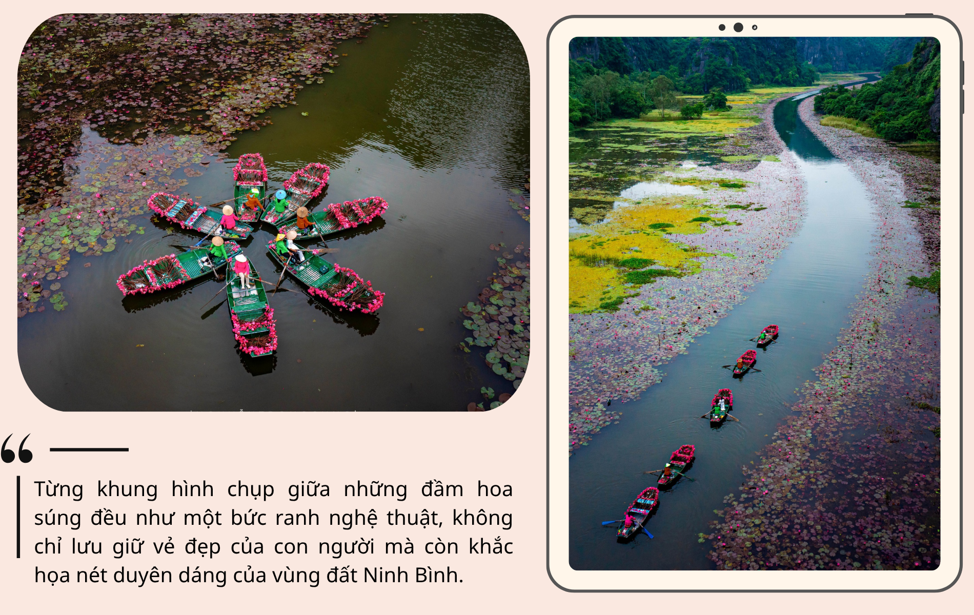 Say đắm mùa hoa súng đẹp như tranh giữa non nước Ninh Bình - 9