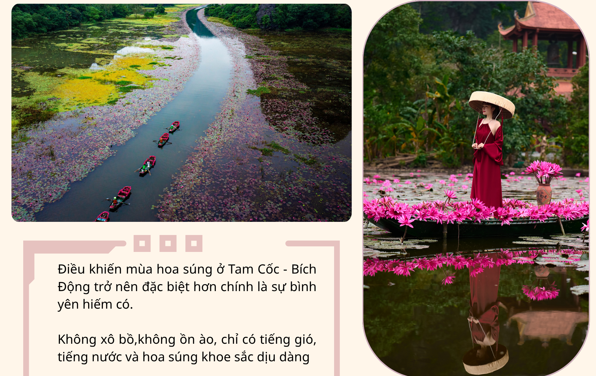 Say đắm mùa hoa súng đẹp như tranh giữa non nước Ninh Bình - 15