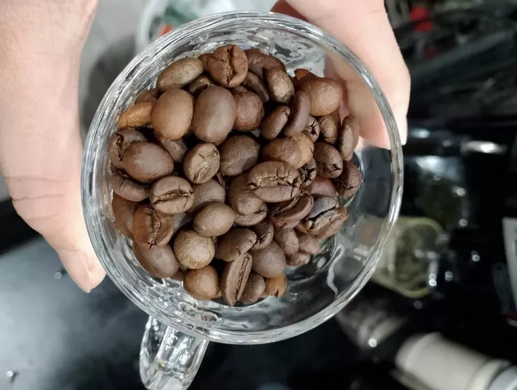 Trà xanh rất giàu catechin như EGCG (epigallocatechin-3-gallate). Các chất này có tác dụng cải thiện men gan và giảm tích tụ mỡ trong gan. Ảnh: PHƯƠNG LÊ.