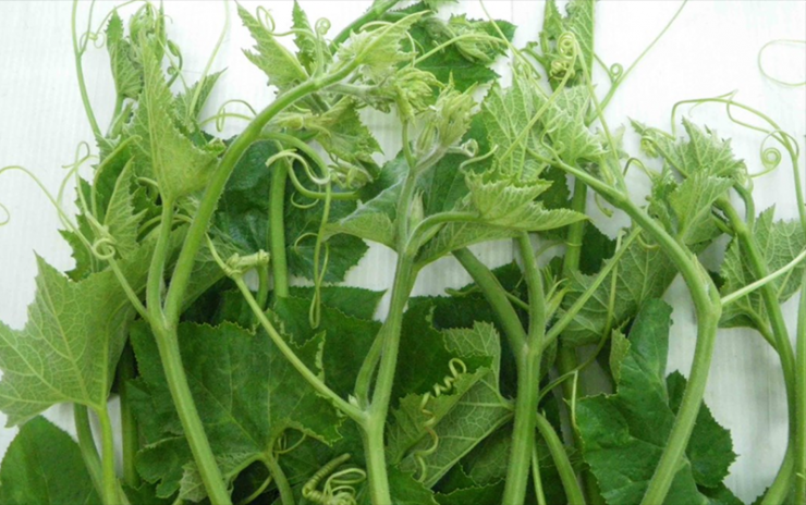 Món ngon giàu dinh dưỡng, hỗ trợ giảm chứng viêm khớp dạng thấp, nấu được nhiều món ngon - 1