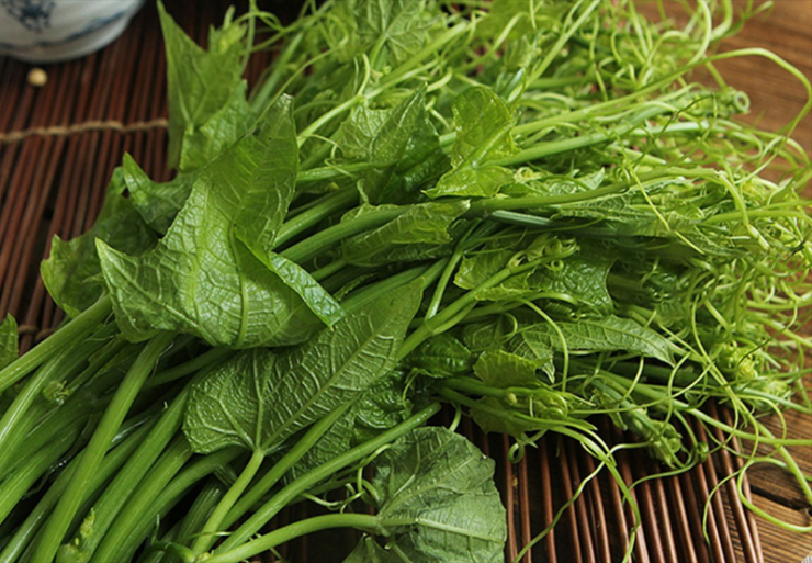 Món ngon giàu dinh dưỡng, hỗ trợ giảm chứng viêm khớp dạng thấp, nấu được nhiều món ngon - 2