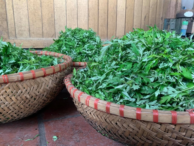 Rau ngải cứu được sơ chế khéo léo để giảm vị đắng. Ảnh: Trang Ha Du