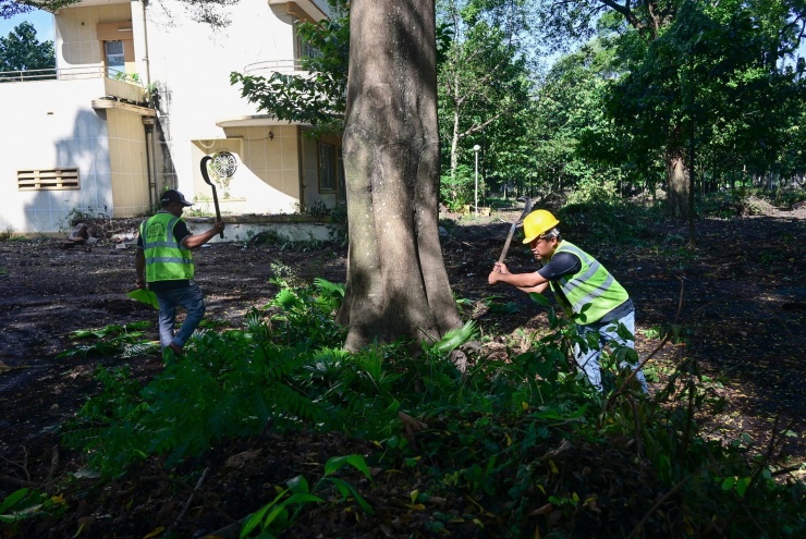 Đơn vị thi công có biết, có khoảng 100 người tham gia dọn dẹp khu đất và dự kiến hoàn thành trong tuần này, trước khi bàn giao cho thành phố làm công viên.